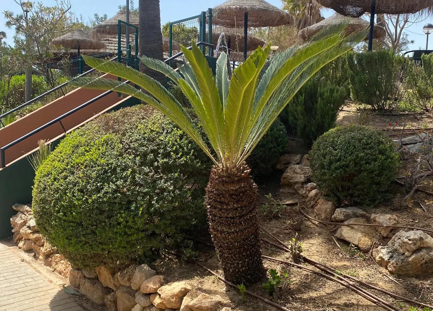 Indalo Benalmadena Apartment Spain